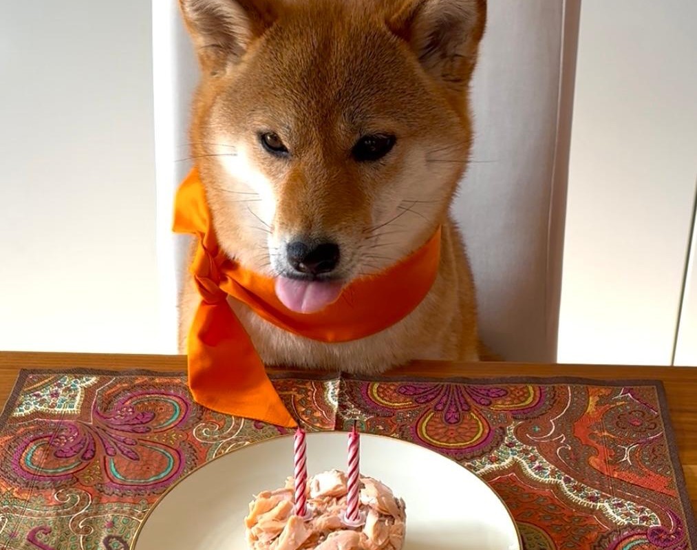 Zweiter Geburtstag Yoko
