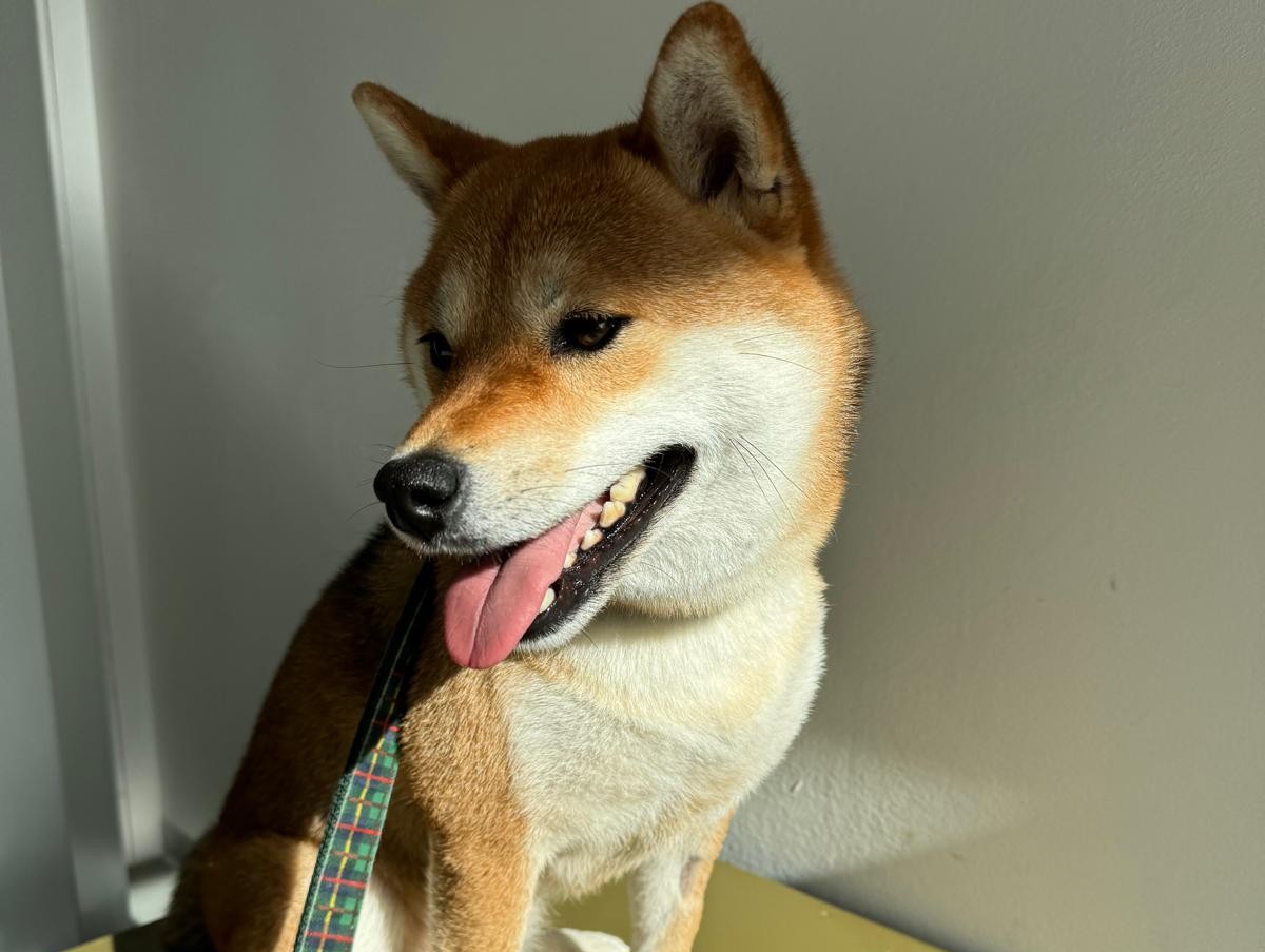 Modeschau Yoko